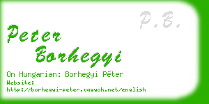 peter borhegyi business card